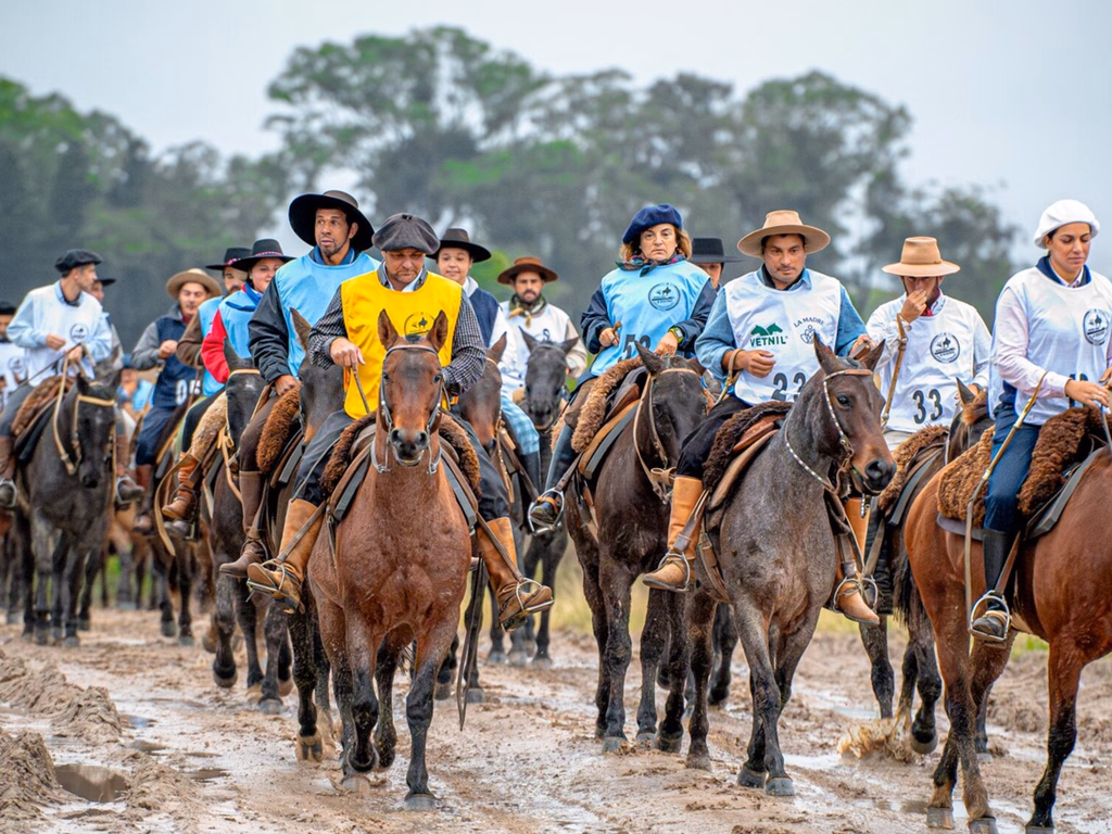 Marcha anual testa resistência do cavalo Crioulo
