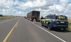 Draco prendeu mais de 40 pessoas desde que foi instalada em Uruguaiana