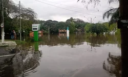 Uruguaiana possui cerca de 2 mil pessoas com HIV cadastradas