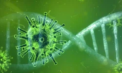 OMS utilizará letras gregas para nomear as variantes do coronavírus