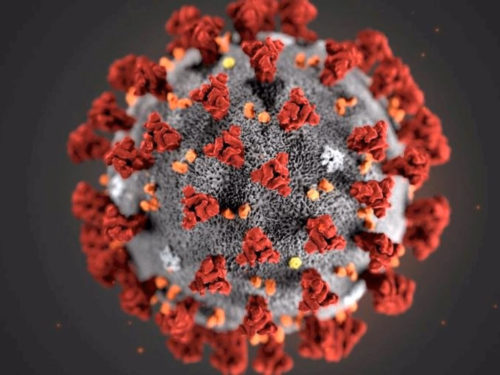 Taxa de contágio tem leve queda e estimativa indica estabilização