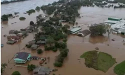 Prefeitura investe R$ 19 mil em compra de rações