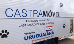 Município realizou cinco bariátricas em 2023