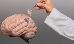 Campanha atingiu pouco mais de 18% do público-alvo