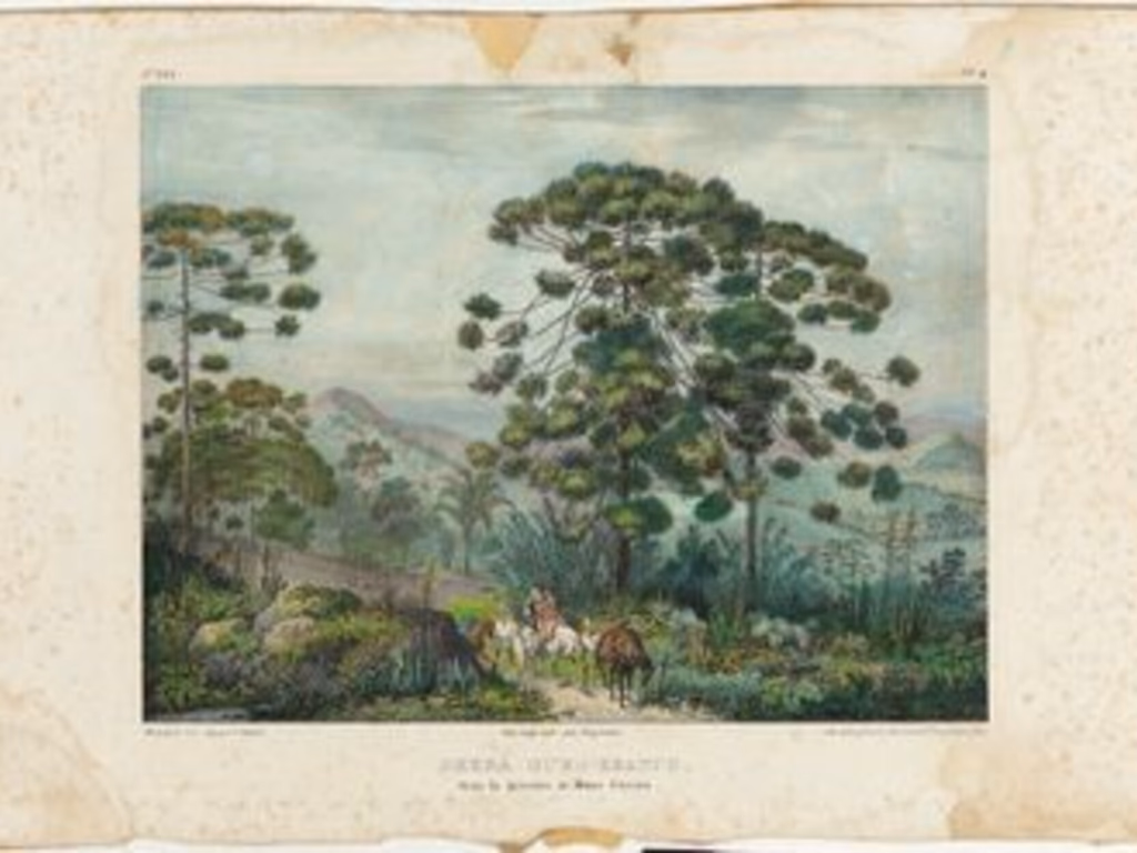 IMS disponibiliza 10 mil fotografias, gravuras e pinturas para download gratuito