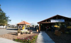 Freio Jovem encerra programação do Cavalo Crioulo na Expointer