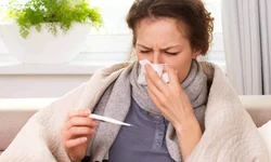 Uruguaiana soma 379 casos de influenza 2023