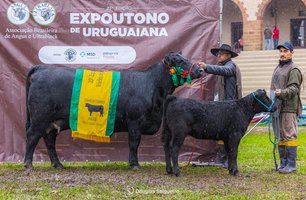 Seapi divulga calendário oficial de feiras agropecuárias de 2026