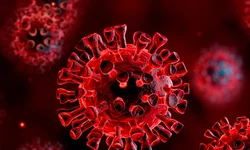 Carros alegóricos continuam na avenida atrapalhando o trânsito