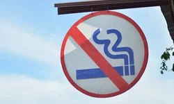 Uruguaiana pode ter mês de combate aos maus tratos contra animais