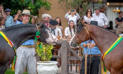Exposição Passaporte em Bagé define oito nomes para a final