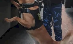 PC amplia possibilidade de registros pela Delegacia Online