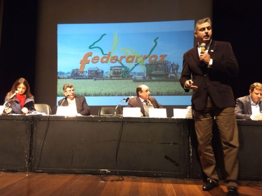 Arrozeiros cobram soluções para problemas históricos da lavoura gaúcha