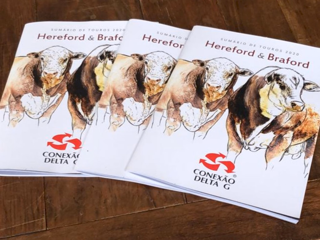 Conexão Delta G apresenta Sumário de Touros Hereford e Braford