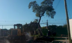 Crianças imunodeprimidas serão priorizadas na vacinação