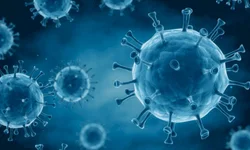 Feira do bairro São João acontece no domingo