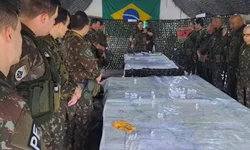 Operação da PF combate tráfico de pássaros na Fronteira Oeste