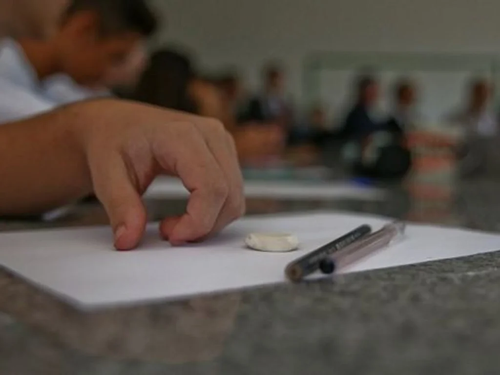 Secretaria da Educação divulga calendário de matrículas e transferências para 2019