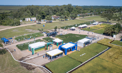 Preços da carne caem em janeiro