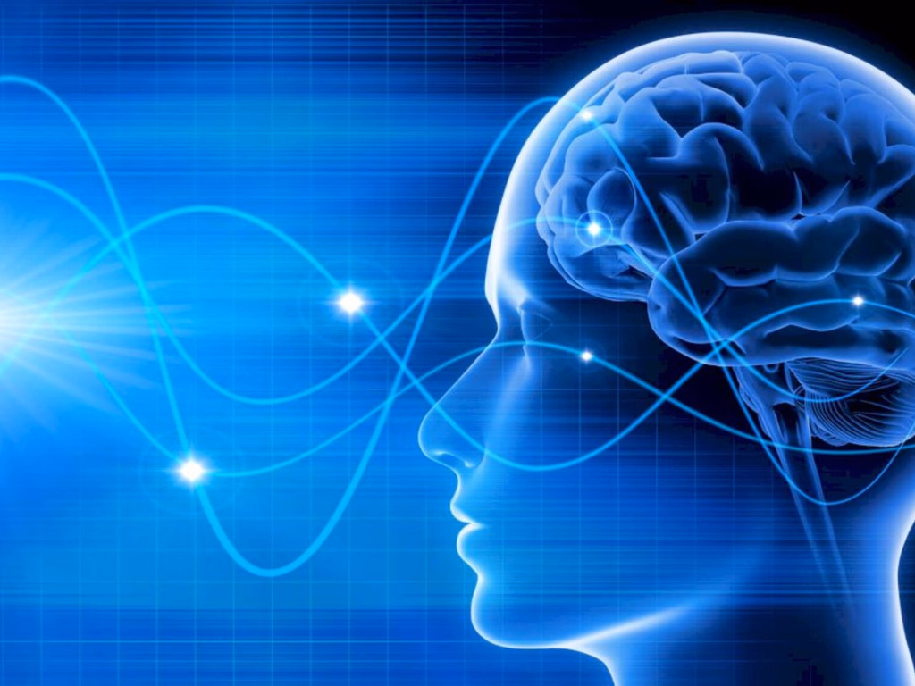 IX Semana Nacional do Cérebro terá palestras online abertas ao público