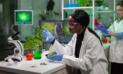 Abertas as seleções para pós-graduação em Ciências Biológicas