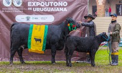 Seapi divulga calendário oficial de feiras agropecuárias de 2026