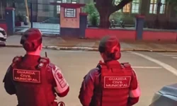 Fiscalização retira mais de 20 cavalos soltos nas vias da cidade