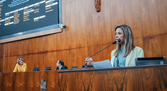 AL  aprova projeto que torna obrigatória biometria facial em estádios com mais de 20 mil lugares