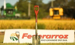 Colheita avança com fronteira oeste na liderança