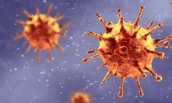 Expointer será lançada na próxima segunda