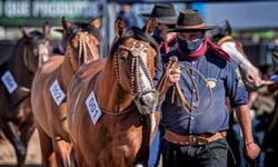 Inscrições abertas para a Morfologia Passaporte Outonal de Esteio