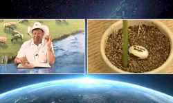 Thaís Aramburu assume função na diretoria do Cosems/RS