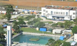 Mundial Braford reunirá pecuaristas de vários países