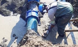 Argentina diz que gafanhotos estão a 130 km da Barra do Quaraí