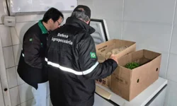 Novas viaturas são entregues a Brigada Militar