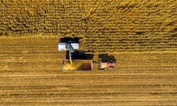 Painel projeta futuro do agronegócio brasileiro no pós-pandemia