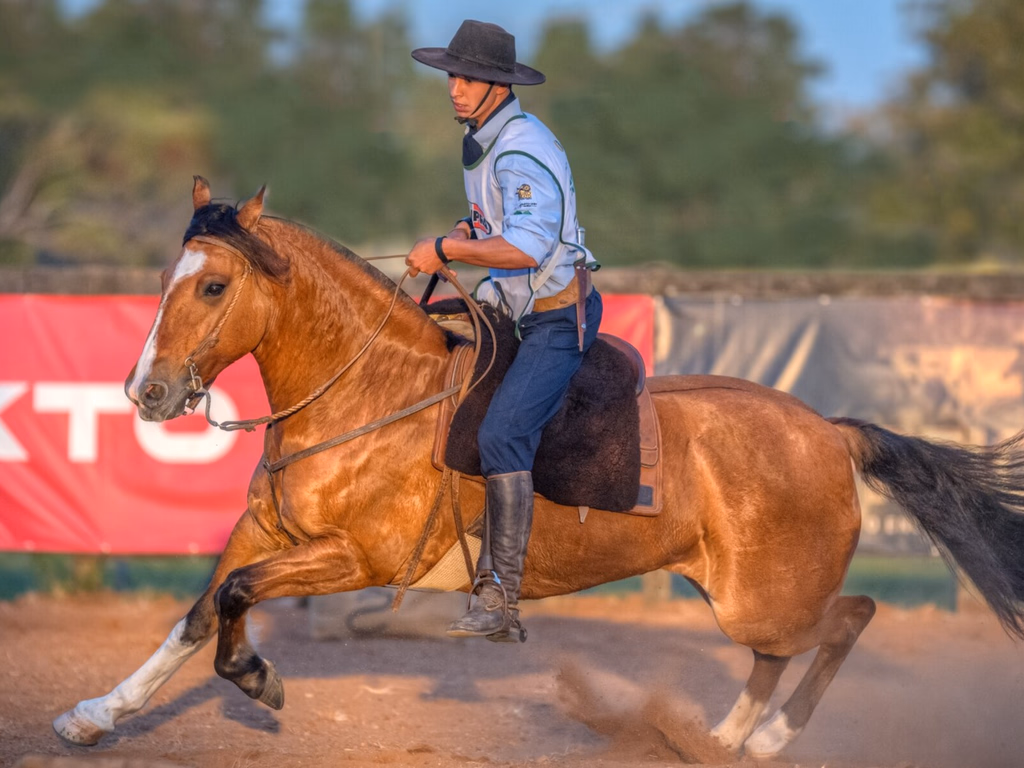 Inscrições da Classificatória Gaúcha Sul são reabertas