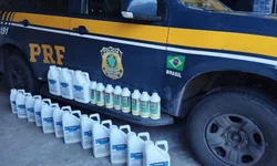 Criado núcleo multidisciplinar de combate pedofilia e abuso infantojuvenil