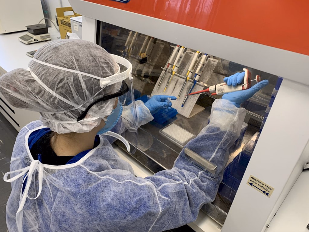 Nova variante é identificada no RS