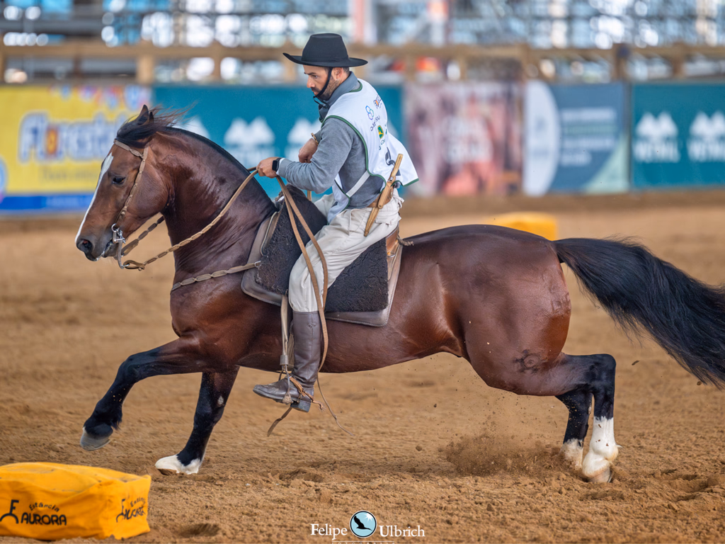 Classificatória define as últimas vagas para o Freio de Ouro 2025