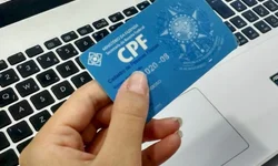 PC incinera duas toneladas de drogas apreendidas no RS