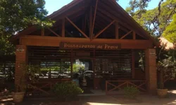 Prazo para cadastramento no Auxílio Emergencial Gaúcho é prorrogado