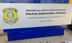 Mãe é suspeita de embriagar criança de sete anos
