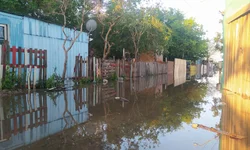 Município fornece cordão de girassol para identificar deficiência oculta