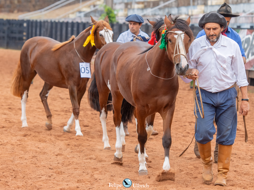 ABCCC abre inscrições para a Classificatória Gaúcha Sul