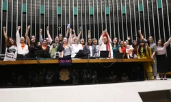 Câmara aprova regulamentação da profissão de doula