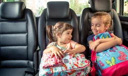 Veículos escolares precisam atualizar documentação a partir de segunda-feira