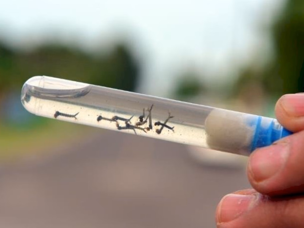 Uruguaiana segue sem casos, mas cuidados devem ser mantidos