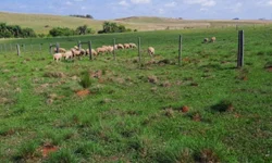 Emitida primeira certificação do programa Campos do Sul