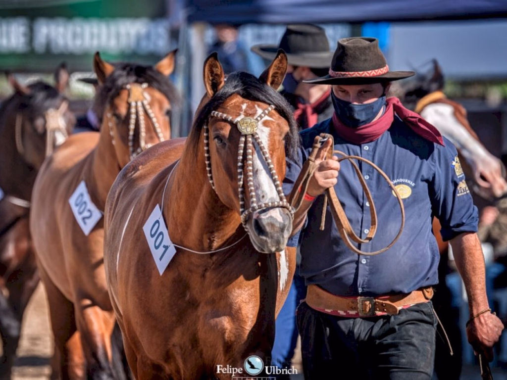 Inscrições abertas para a Morfologia Passaporte Outonal de Esteio